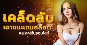 บทความสล็อต